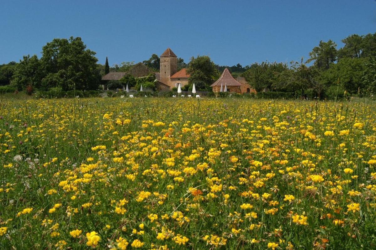Holiday home Gites Du Boussagou *